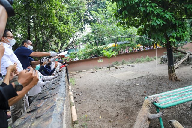Direktur SDM Pelindo III Melakukan Feeding Time