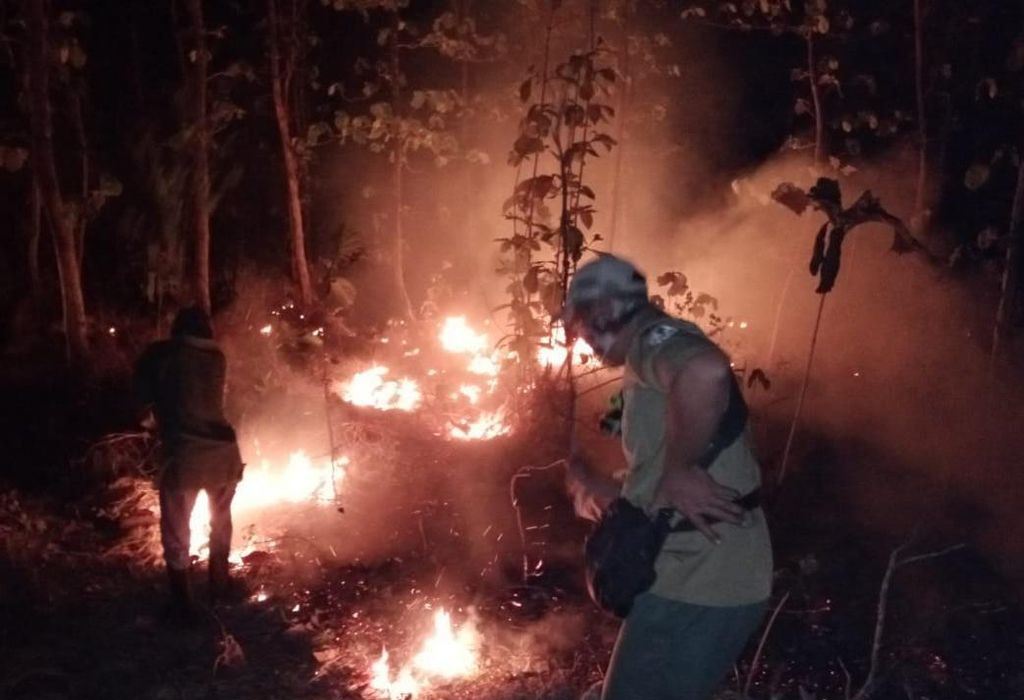 hutan-baluran-di-situbondo-seluas-25-hektare-terbakar-2_43